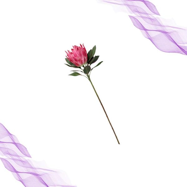 decorative flowers & wreaths 1pc artificial silk flower european style overlord simulation adornment home restaurant cafe decoration rosy
decorative flowers & wreaths 1pc artificial silk flower european style overlord simulation adornment home restaurant cafe decoration rosy