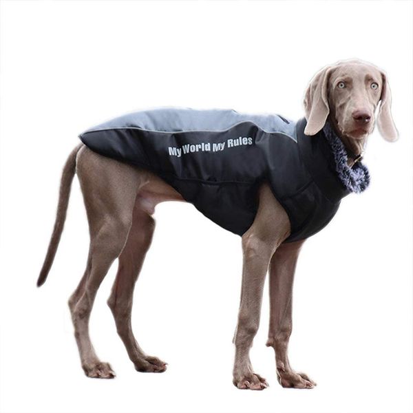 dog down coat waterproof reflective jacket winter warm apparel cold weather medium big dog vest back zipper adjustable size detachable leash
dog down coat waterproof reflective jacket winter warm apparel cold weather medium big dog vest back zipper adjustable size detachable leash