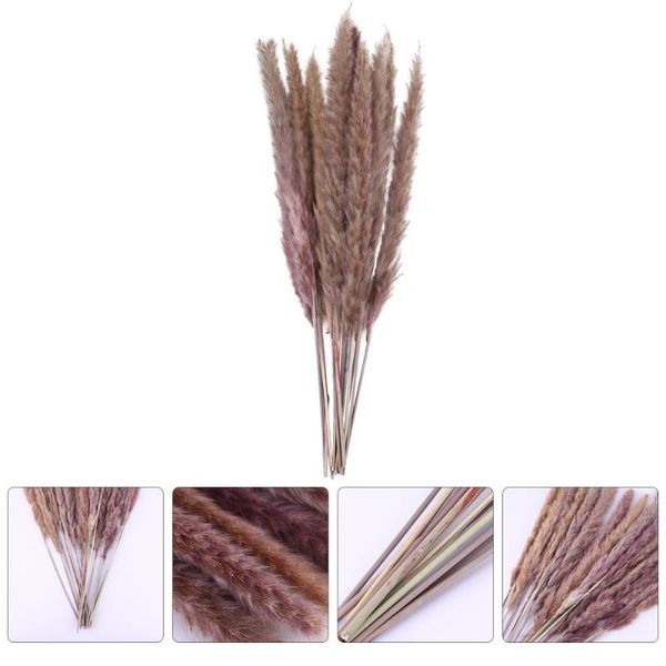 15pcs natural dried flowers durable practical dried flower decor bouquet decoration reed bouquets for home store office
15pcs natural dried flowers durable practical dried flower decor bouquet decoration reed bouquets for home store office