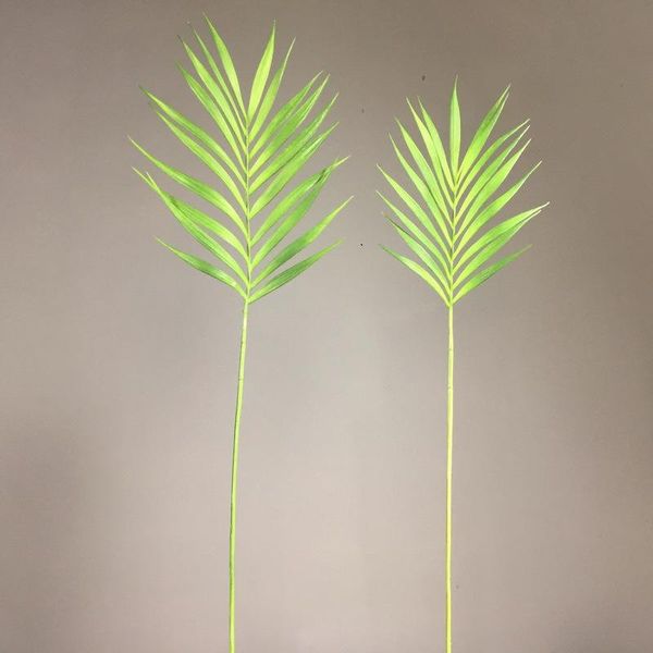 northern european-style long brush holder green vegetation model ferns plant home decoration palm leaf floral with wood filming
northern european-style long brush holder green vegetation model ferns plant home decoration palm leaf floral with wood filming