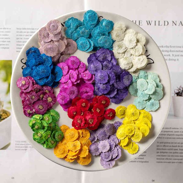 daisy real flowers, dried embossing, children's manual face makeup, flower specimens, diy glue dropping mobile phone festival gift desi
daisy real flowers, dried embossing, children's manual face makeup, flower specimens, diy glue dropping mobile phone festival gift desi