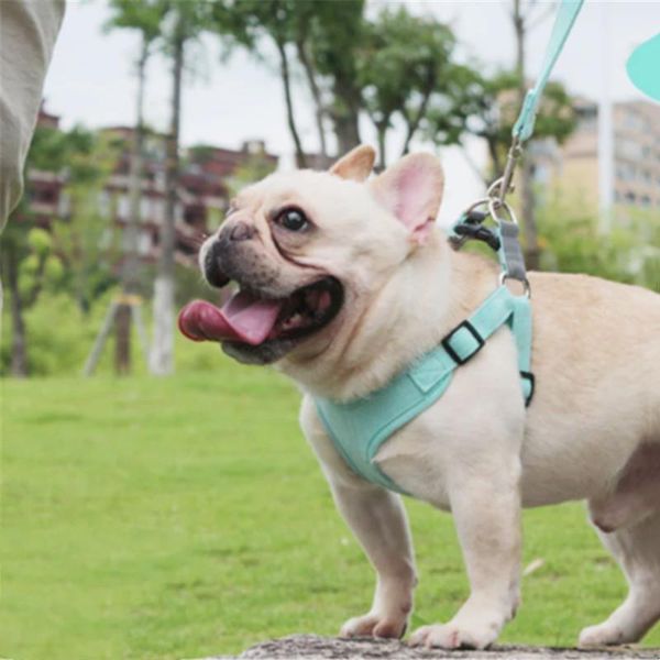 puppy cat pet dog harness breathable cotton dog harness strap soft walk vest collar for small medium accessories
puppy cat pet dog harness breathable cotton dog harness strap soft walk vest collar for small medium accessories