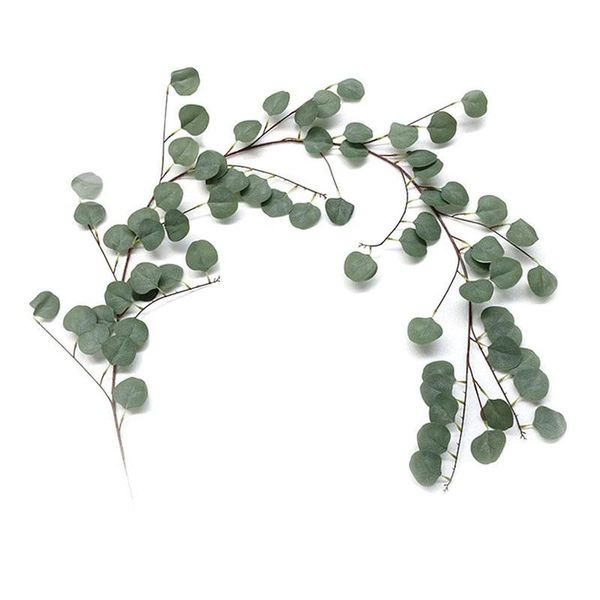decorative flowers & wreaths 170cm cloth eucalyptus vines wedding background wall decor artificial flower rattan garland arrangement home pa
decorative flowers & wreaths 170cm cloth eucalyptus vines wedding background wall decor artificial flower rattan garland arrangement home pa