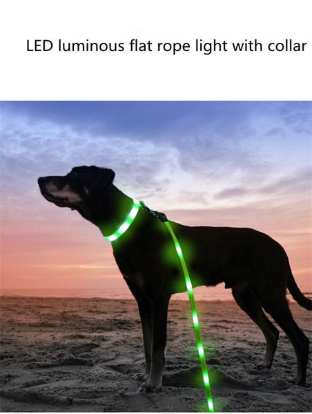 dog collars & leashes pet luminous traction rope usb charging collar led walking