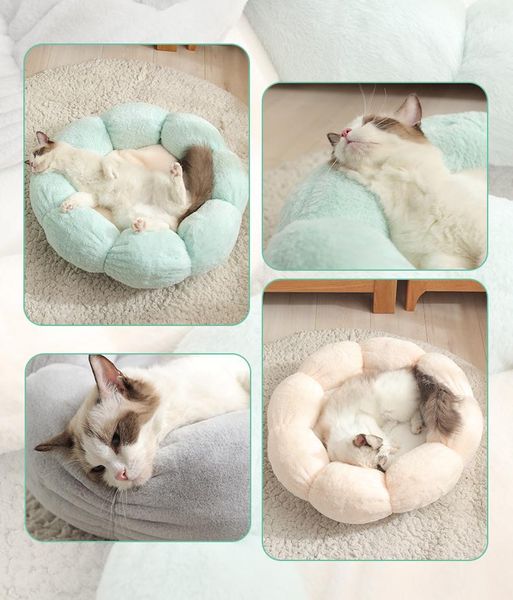 cat beds & furniture comfortable flower shape pet bed cute cozy mat warm durable portable kennel dog cushion supplies multicolor
cat beds & furniture comfortable flower shape pet bed cute cozy mat warm durable portable kennel dog cushion supplies multicolor