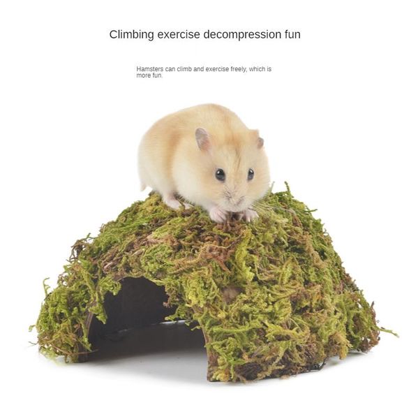 natural material hamster moss shelter golden bear small house hamster nest cage landscaping supplies accessories
natural material hamster moss shelter golden bear small house hamster nest cage landscaping supplies accessories
