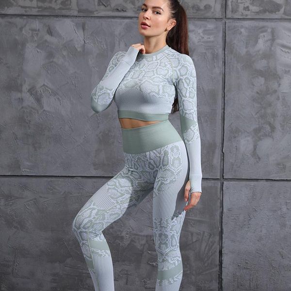 women sport set serpent yoga set gym long sleeve high waist seamless yoga leggings stretch workout fitness sportswear, White;red
women sport set serpent yoga set gym long sleeve high waist seamless yoga leggings stretch workout fitness sportswear, White;red