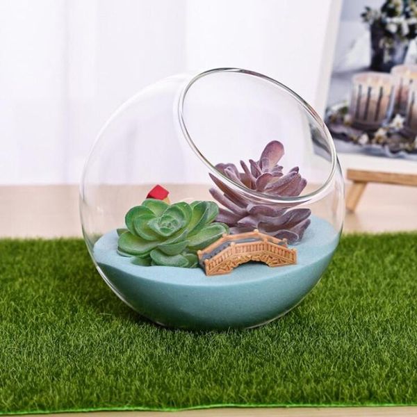 novelty items diameter=15cm big size side open glass terrarium vase home decoration creative aquarium fishbowl friend gift
novelty items diameter=15cm big size side open glass terrarium vase home decoration creative aquarium fishbowl friend gift