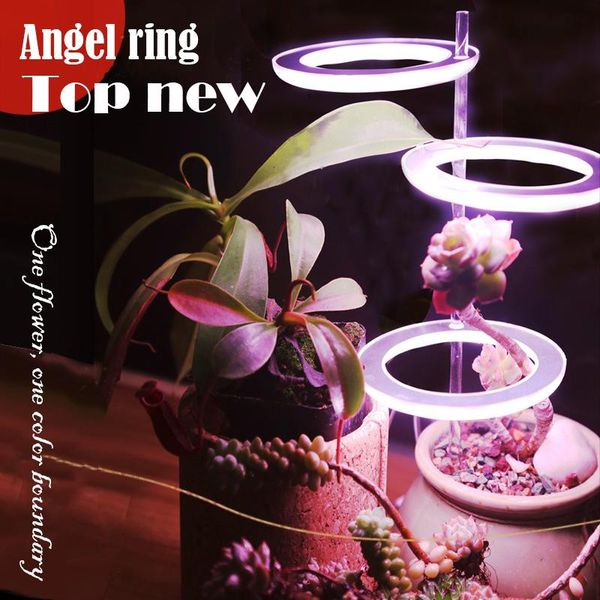 usb angel ring plant fill light led full-spectrum sun-like indoor household flower light coloring plant vegetation growth
usb angel ring plant fill light led full-spectrum sun-like indoor household flower light coloring plant vegetation growth