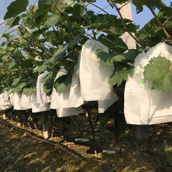 100pcs grape protection bags for fruit vegetable grapes mesh bag against waterproof insect seedling bagging planters & pots
100pcs grape protection bags for fruit vegetable grapes mesh bag against waterproof insect seedling bagging planters & pots