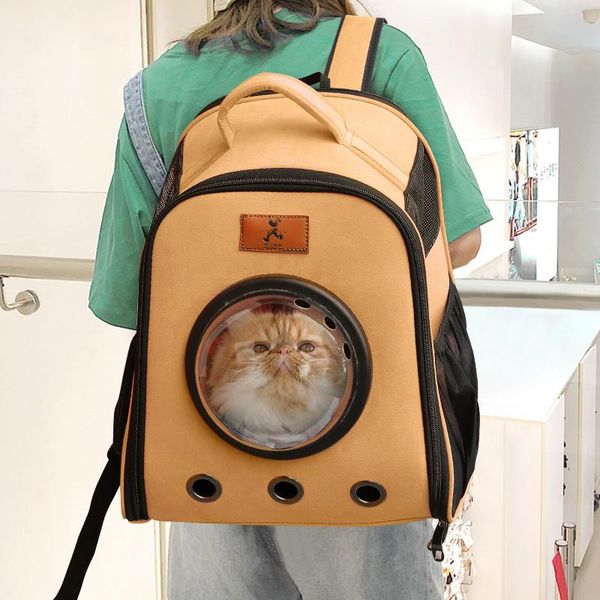 cat carriers,crates & houses carriers cats dogs transport bag large gatos mochila handbag for small pets accessories ab50xd
cat carriers,crates & houses carriers cats dogs transport bag large gatos mochila handbag for small pets accessories ab50xd