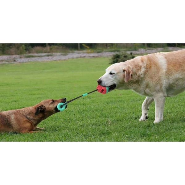 new popular pet products toy combination pull rope training molar biting ball dog toy
new popular pet products toy combination pull rope training molar biting ball dog toy