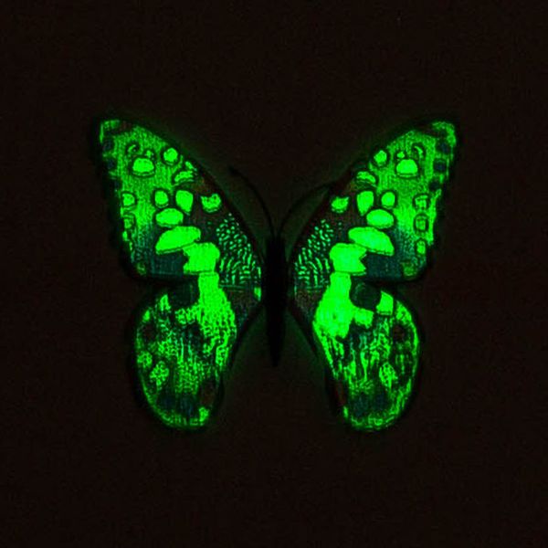 12 pcs simulation luminous butterfly wall stickers 3d magnetism decals removable diy home art decorations for birthday party christmas weddi
12 pcs simulation luminous butterfly wall stickers 3d magnetism decals removable diy home art decorations for birthday party christmas weddi