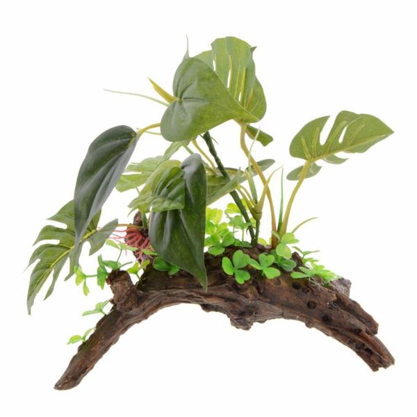 decorations 10" simulated aquarium plants decoration acuario artificial arch plant fish tank ornament green decor e4absz10147
decorations 10" simulated aquarium plants decoration acuario artificial arch plant fish tank ornament green decor e4absz10147