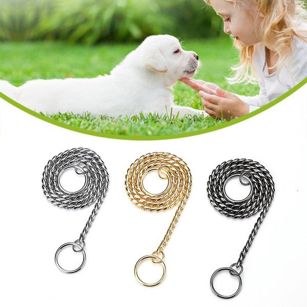 copper pet p snake slip chain cat leash dog choke collar pet outdoor training collar leash necklace leads for dogs
copper pet p snake slip chain cat leash dog choke collar pet outdoor training collar leash necklace leads for dogs