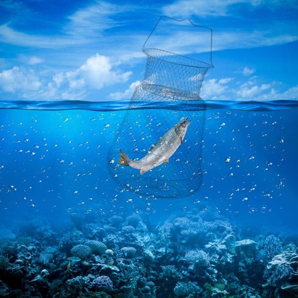 35cm mesh hole folding crab lobster iron net fishing net fishing accessories
35cm mesh hole folding crab lobster iron net fishing net fishing accessories