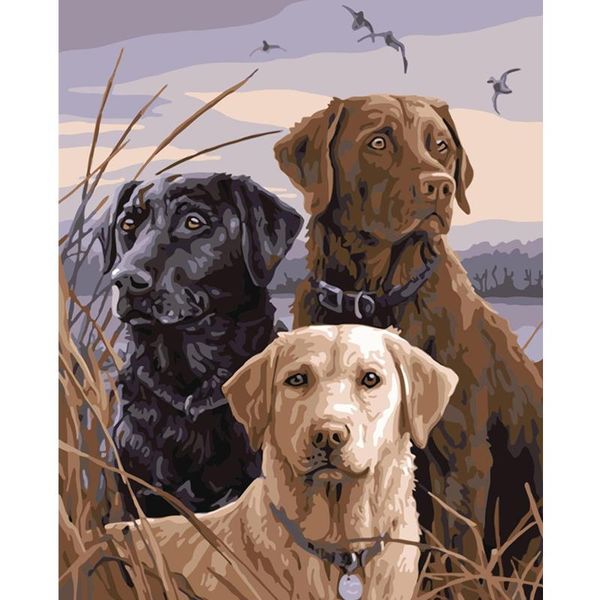 paintings three dogs golden hair animal diy digital painting by numbers modern wall art canvas unique birthday gift home decor
paintings three dogs golden hair animal diy digital painting by numbers modern wall art canvas unique birthday gift home decor