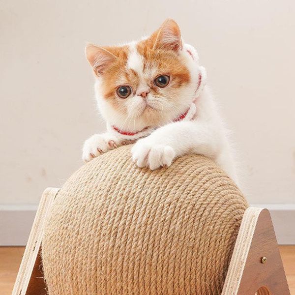 cat toys scratcher toy small natural triangular solid wood catch ball durable grinding claw climbing interactive pet
cat toys scratcher toy small natural triangular solid wood catch ball durable grinding claw climbing interactive pet