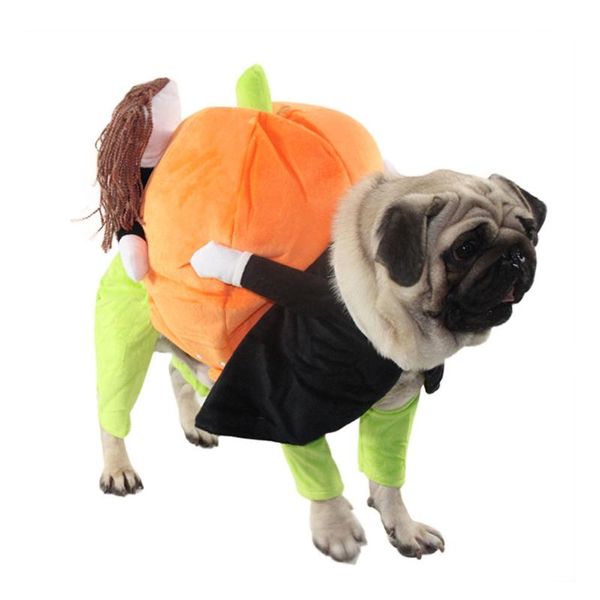 cat costumes dog little man holding pumpkin funny change dress halloween teddy cosplay back clothes decoration 
cat costumes dog little man holding pumpkin funny change dress halloween teddy cosplay back clothes decoration