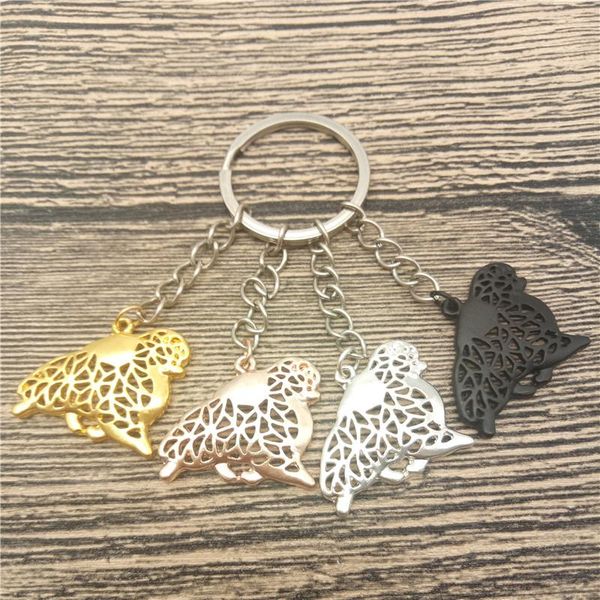 keychains pomeranian key chains fashion pet dog jewellery car keychain bag keyring for women men, Silver
keychains pomeranian key chains fashion pet dog jewellery car keychain bag keyring for women men, Silver