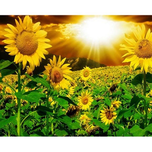 diamond painting embroidery 5d scenery full square sunflower picture of rhinestones cross stitch mosaic home decor
diamond painting embroidery 5d scenery full square sunflower picture of rhinestones cross stitch mosaic home decor