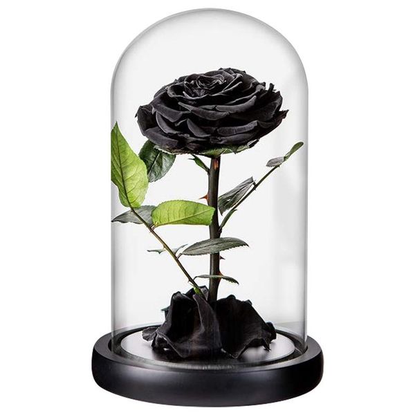 decorative flowers & wreaths preserved rose black roses handmade flower real in glass dome, never withered romantic gifts for
decorative flowers & wreaths preserved rose black roses handmade flower real in glass dome, never withered romantic gifts for