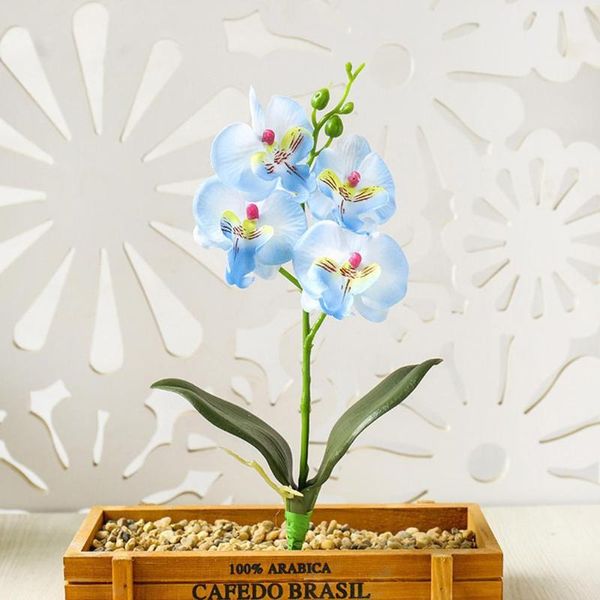 decorative flowers & wreaths 1 pc artificial flower 3d print butterfly orchid vases for home decor wedding christmas gifts fake plants
decorative flowers & wreaths 1 pc artificial flower 3d print butterfly orchid vases for home decor wedding christmas gifts fake plants