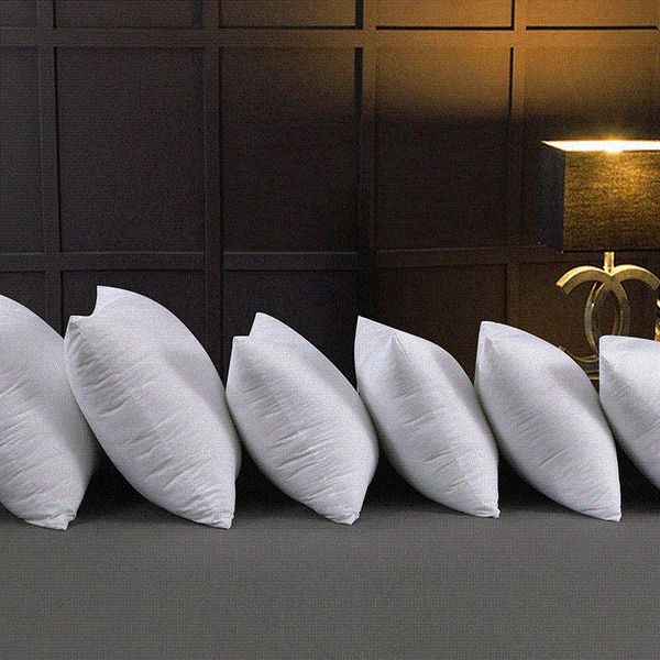 pillow pregnancy high elasticity pillowcase padding sanded cushion core dakimakura neck stretcher
pillow pregnancy high elasticity pillowcase padding sanded cushion core dakimakura neck stretcher