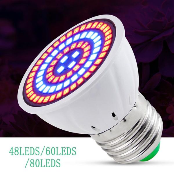 led plant growth lamp bases for full spectrum grow light e27 led light bulb grow for indoor plant hydroponic growth
led plant growth lamp bases for full spectrum grow light e27 led light bulb grow for indoor plant hydroponic growth