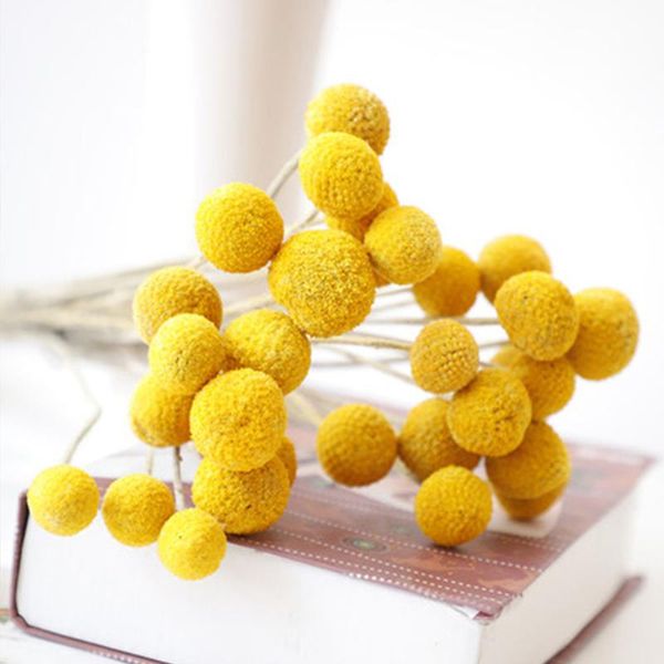 5 pcs dried flower craspedia billy balls wedding bouquet flower branch home decoration christmas wreath diy no vase
5 pcs dried flower craspedia billy balls wedding bouquet flower branch home decoration christmas wreath diy no vase
