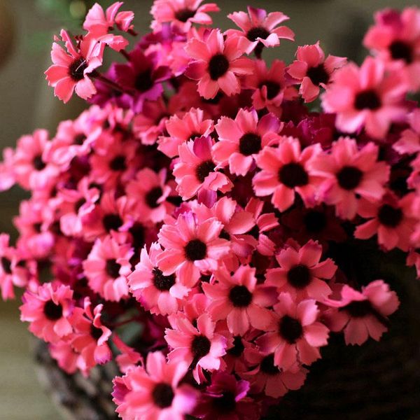 10pcs (24 heads/bouquet) fake silk daisy vintage home stamens real touch artificial flowers/plants wedding decorations
10pcs (24 heads/bouquet) fake silk daisy vintage home stamens real touch artificial flowers/plants wedding decorations