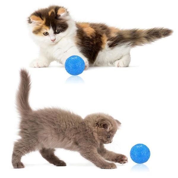cat toys funny toy ball plastic interactive teasing creative kitten training exercise cats supplies random color
cat toys funny toy ball plastic interactive teasing creative kitten training exercise cats supplies random color