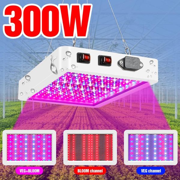 led full spectrum growing bulb 220v phyto growth lamp 300w 500w led high power indoor plants lights 240v grow tent eu us uk plug
led full spectrum growing bulb 220v phyto growth lamp 300w 500w led high power indoor plants lights 240v grow tent eu us uk plug