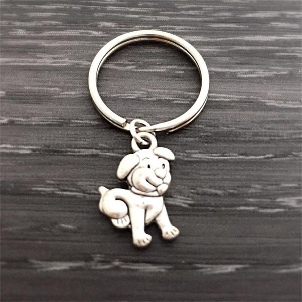 keychains dog keychain, pet key ring, car jewelry, animal purse charm, lover gift, Silver
keychains dog keychain, pet key ring, car jewelry, animal purse charm, lover gift, Silver