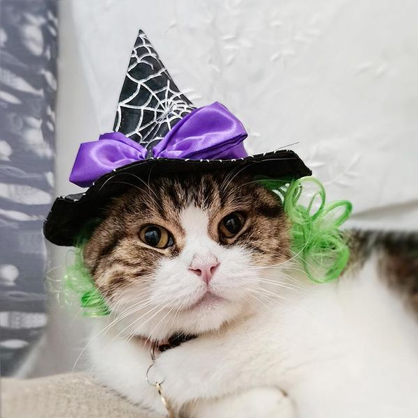 cat costumes pet supplies cute funny halloween hats green-haired dogs and clothes soft breathable easy to clean dress up ye
cat costumes pet supplies cute funny halloween hats green-haired dogs and clothes soft breathable easy to clean dress up ye