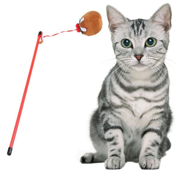 cat toys pumpkin pet toy interactive wand funny stick teaser training for cats
cat toys pumpkin pet toy interactive wand funny stick teaser training for cats