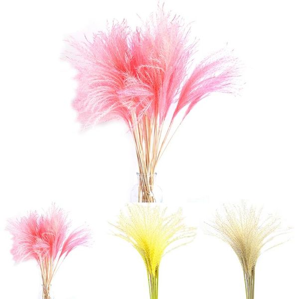 10pcs 23.62in dried reed grass home decorative l dorm shop ornaments dried plant bundle wedding bouquet flower decor
10pcs 23.62in dried reed grass home decorative l dorm shop ornaments dried plant bundle wedding bouquet flower decor