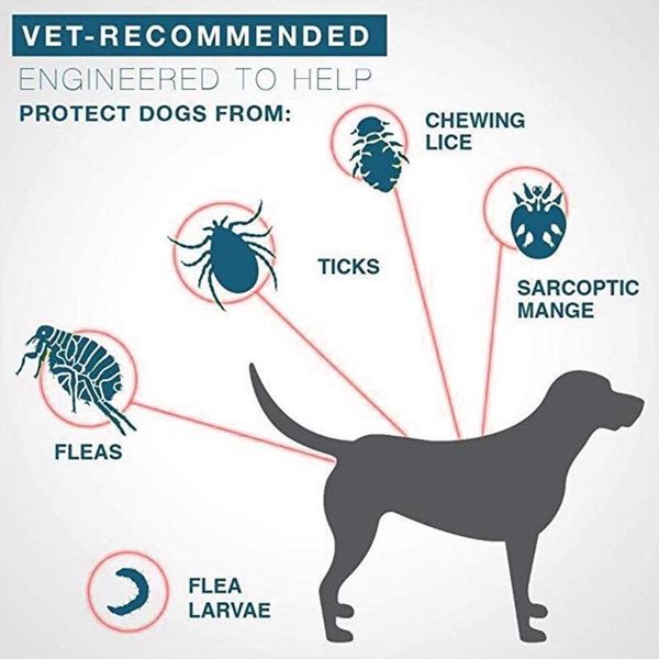 dog collars & leashes pet cats anti tick flea mosquitoes collar waterproof necklace neck strap
dog collars & leashes pet cats anti tick flea mosquitoes collar waterproof necklace neck strap