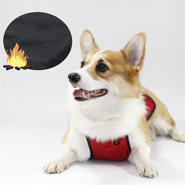 dog apparel aapet 1pc polyester pet bellyband costumes clothes for cat shirt yorkshire terrier t-shirt breathable vest
dog apparel aapet 1pc polyester pet bellyband costumes clothes for cat shirt yorkshire terrier t-shirt breathable vest
