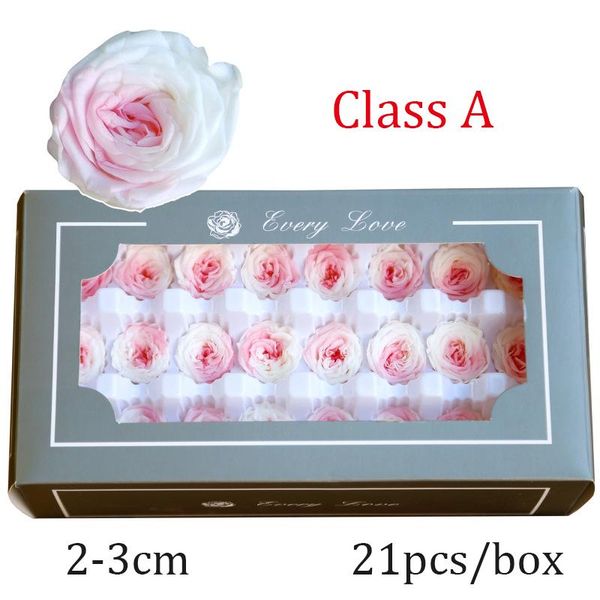 21pcs preserved austin rose flowers head mini eternal roses birthday wedding party wholesale flower birthday gift box decoration
21pcs preserved austin rose flowers head mini eternal roses birthday wedding party wholesale flower birthday gift box decoration