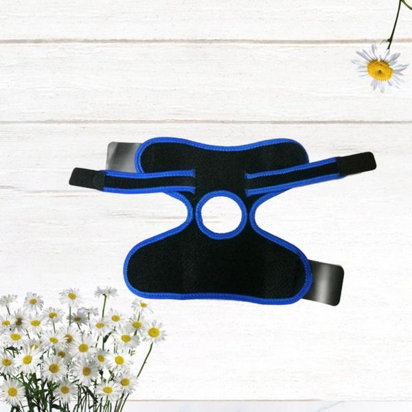 1pc breathable ankle guard sports ankle pad portable brace practical support sports accessories for men exercise blu, Blue;black
1pc breathable ankle guard sports ankle pad portable brace practical support sports accessories for men exercise blu, Blue;black