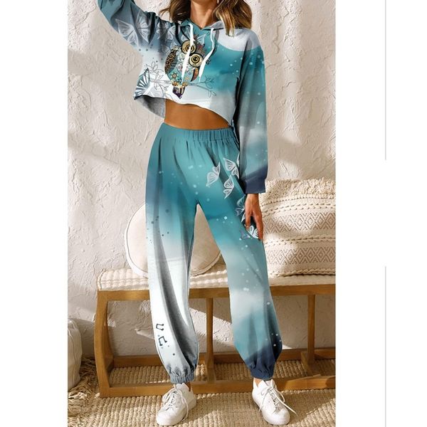 owl pattern women's pants autumn and winter women's sportswear thickened fleece cotton jacket 2-piece sweatshirt and pants hoodie, White
owl pattern women's pants autumn and winter women's sportswear thickened fleece cotton jacket 2-piece sweatshirt and pants hoodie, White