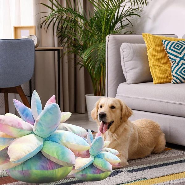 pillow 3d succulent for garden or green lovers baby plant throw pillows bedroom room home decoration plush cushion
pillow 3d succulent for garden or green lovers baby plant throw pillows bedroom room home decoration plush cushion