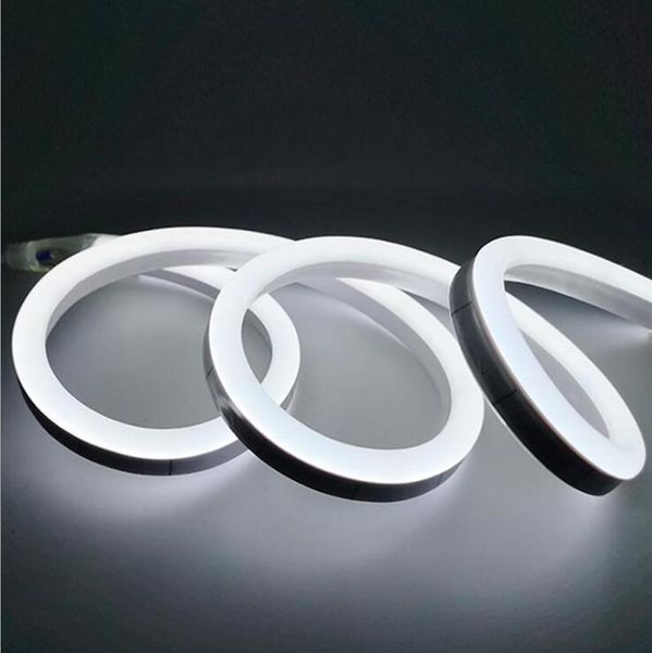 strips fanlive 50m/lot led neon strip 12v 120led/m 2835 flexible light outdoor decorative christmas decorations
strips fanlive 50m/lot led neon strip 12v 120led/m 2835 flexible light outdoor decorative christmas decorations