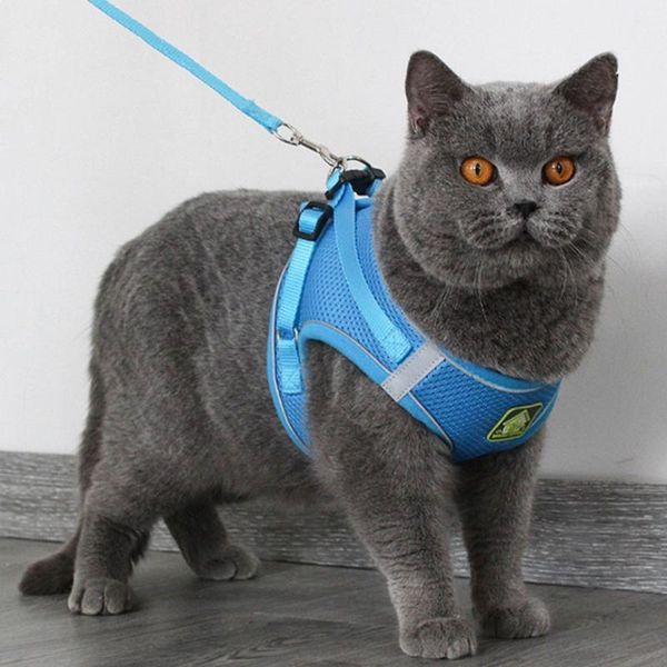 cat collars & leads reflective puppy harness vest with walking lead leash adjustable kitten collar nylon mesh for small medium dogs pets
cat collars & leads reflective puppy harness vest with walking lead leash adjustable kitten collar nylon mesh for small medium dogs pets
