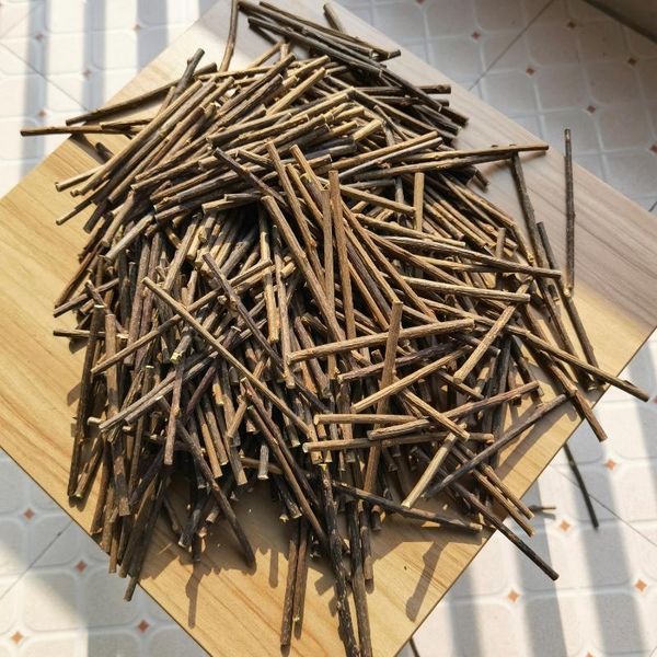 cat toys 300g/400g/500g catnip stick chew for cats pet kitten teeth cleaning sticks toothbrush supplies 120x3-6mm
cat toys 300g/400g/500g catnip stick chew for cats pet kitten teeth cleaning sticks toothbrush supplies 120x3-6mm