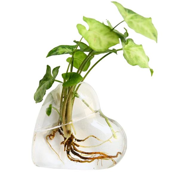 wall hanging fish bowl glass wall-mounted plant pot fish tank decoration planter & aquatic pet supplies tb sale
wall hanging fish bowl glass wall-mounted plant pot fish tank decoration planter & aquatic pet supplies tb sale