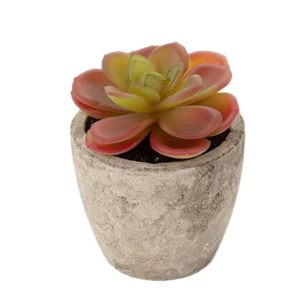 more plant artificial succulent pant plant zhi jiang pen potted indoor office green vegetation
more plant artificial succulent pant plant zhi jiang pen potted indoor office green vegetation