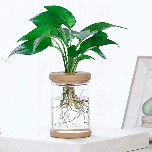 planters & pots 2pcs clear automatic water absorption self watering hydroponic flower pot planter home office decorative garden supplies
planters & pots 2pcs clear automatic water absorption self watering hydroponic flower pot planter home office decorative garden supplies