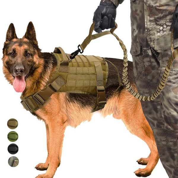 dog collars & leashes adjustable tactical service vest training molle nylon durable large military pet harness with handle hunting
dog collars & leashes adjustable tactical service vest training molle nylon durable large military pet harness with handle hunting